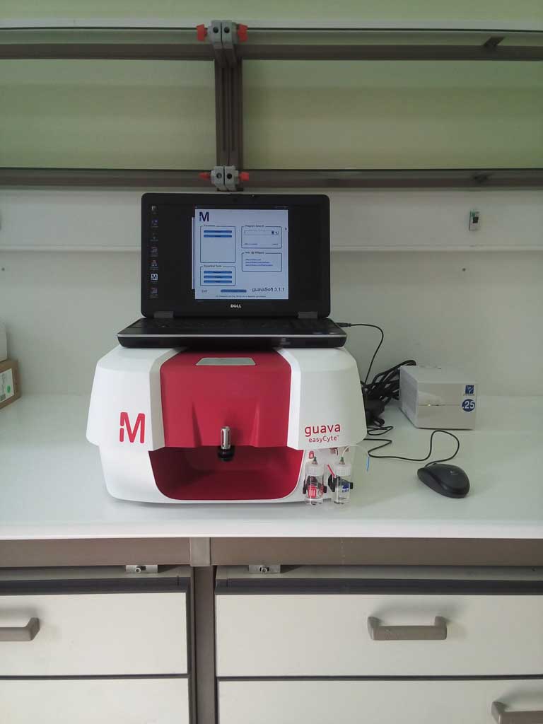 Guava easyCyte Flow Cytometer – Installation and Training